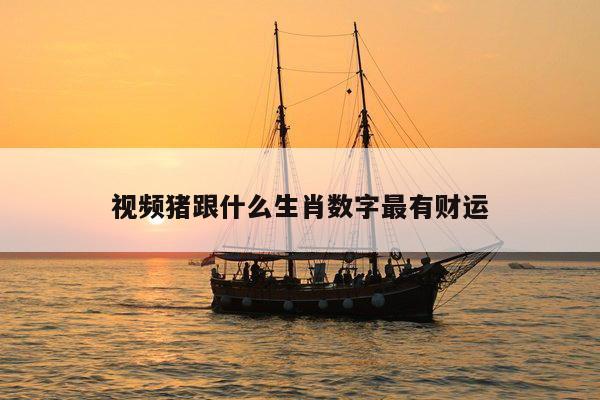 视频猪跟什么生肖数字最有财运