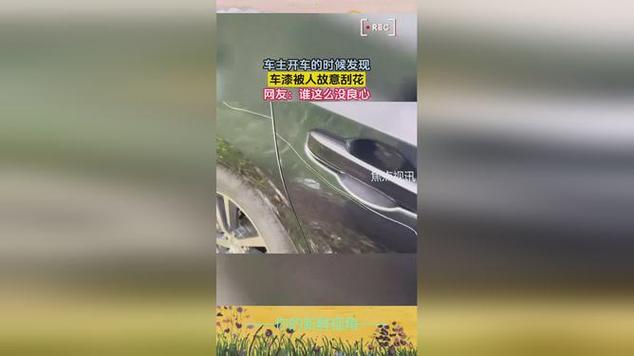 故意划车被全程记录