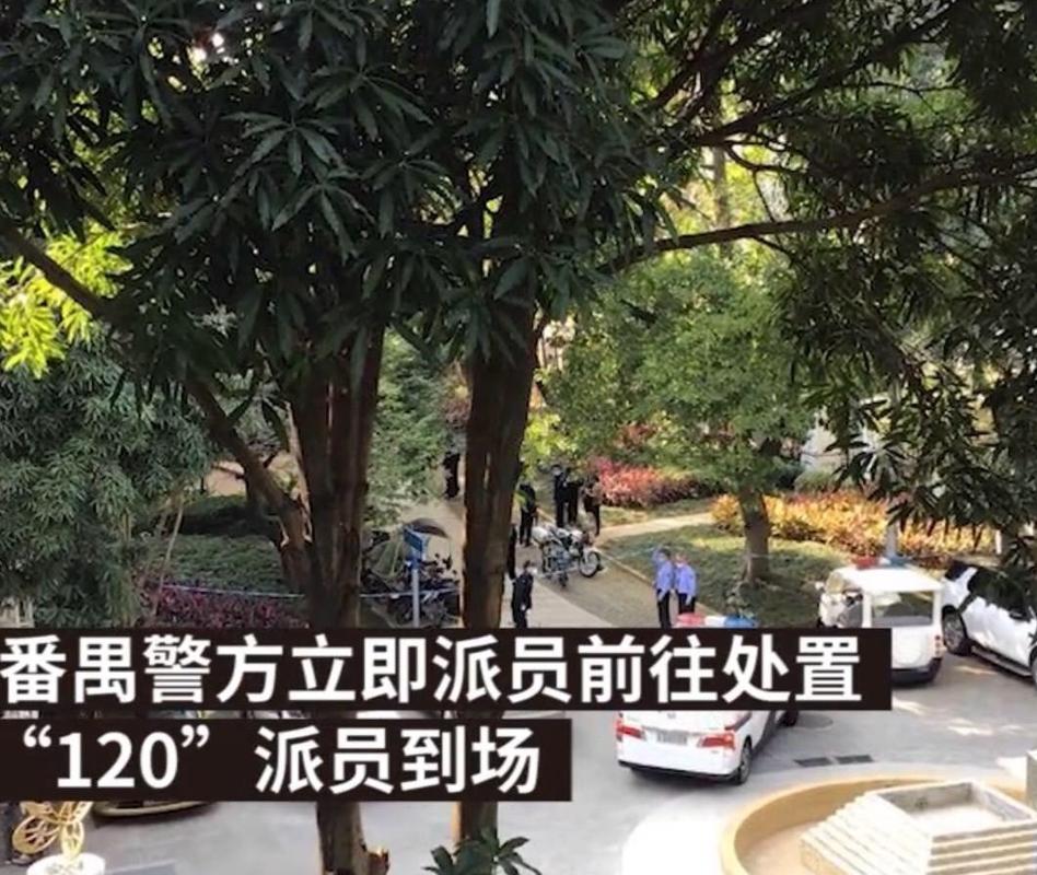 网友自称曾捂死女婴