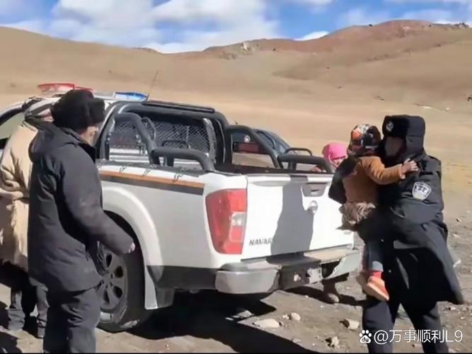 西藏自驾遭两狼夹击