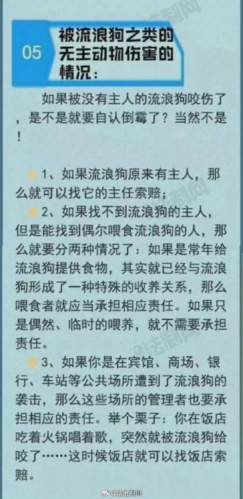 新澳门彩最快开奖记录和7岁男孩遭3只犬撕咬与7岁男孩遭3只犬撕咬怎么办