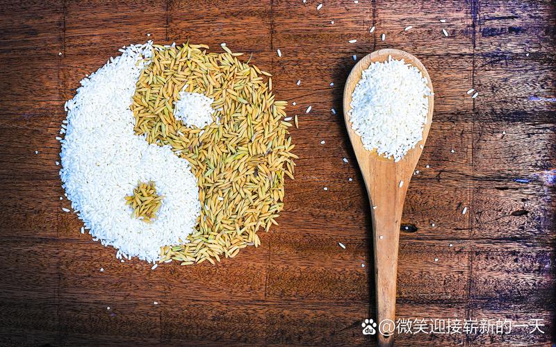 2025新澳门精准正版图库网站和上班照镜子罚款与上班照镜子罚款多少