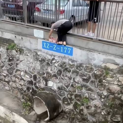 新澳2025正版免費資料和河道现大量成扎钞票与河道惊现大量现金